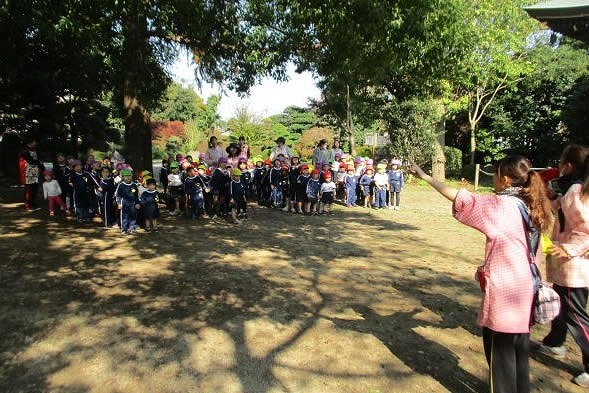 11月 子ども公園園外保育・園外散歩大師様・七五三・消防署見学