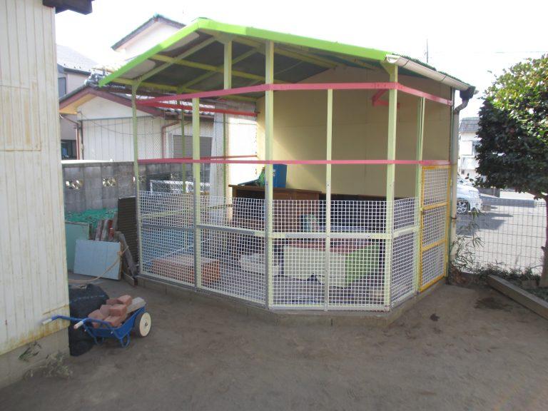 2/19　うさぎ入園